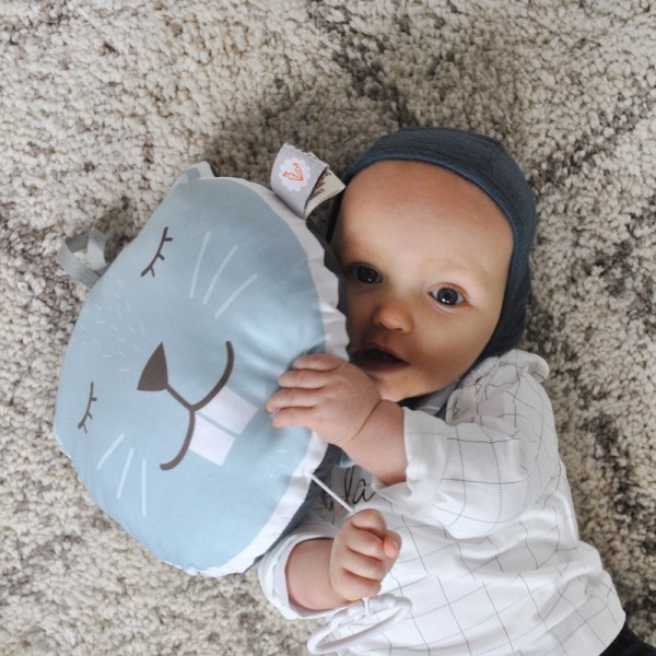 Coussin musical Castor