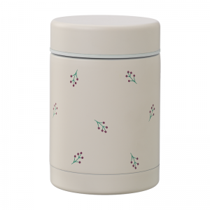 BOITE REPAS ISOTHERME BAIES...