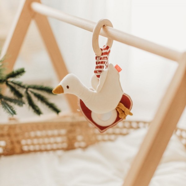 ANNEAU DENTITION BOIS HOCHET OIE ET...