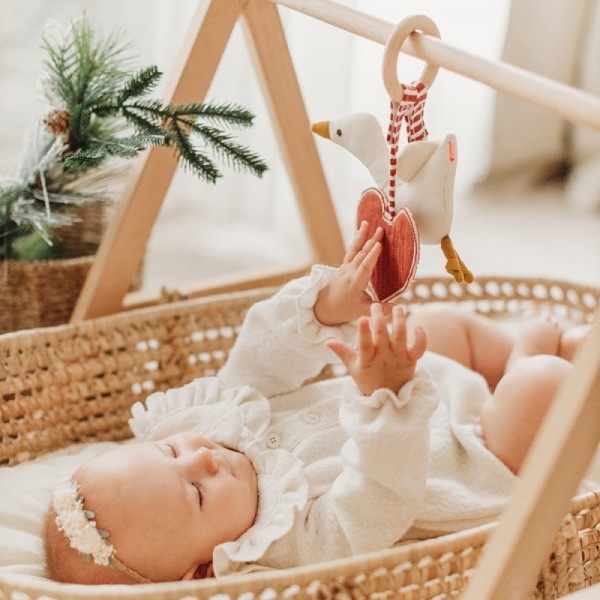 ANNEAU DENTITION BOIS HOCHET OIE ET...