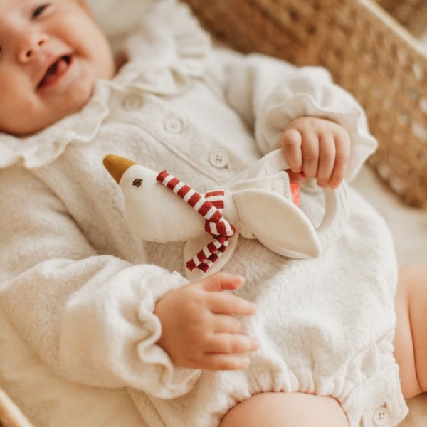 ANNEAU DENTITION OIE CAOUTCHOUC...