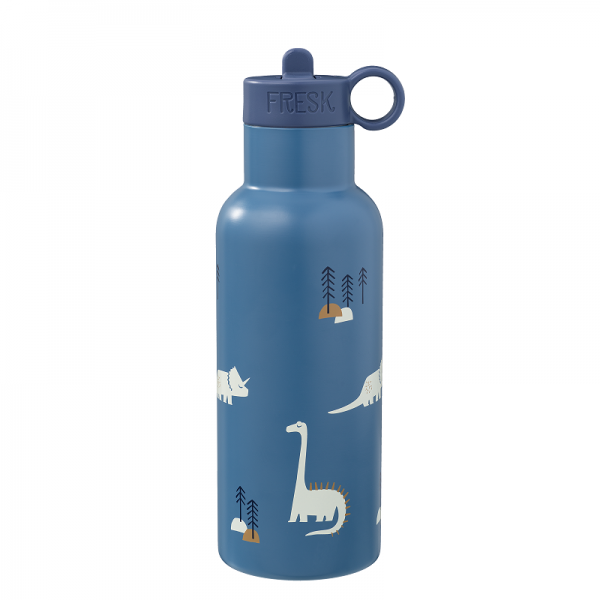 GOURDE ISOTHERME 500ML DINOSAURES -...