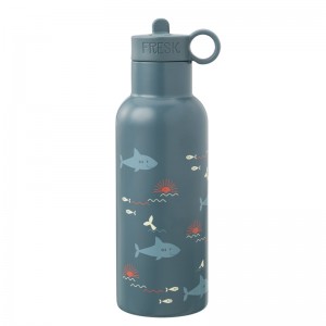 GOURDE ISOTHERME REQUIN...