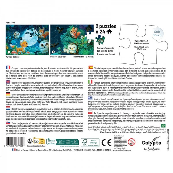 PUZZLE 2 x 24P AU CLAIR DE LUNE -...