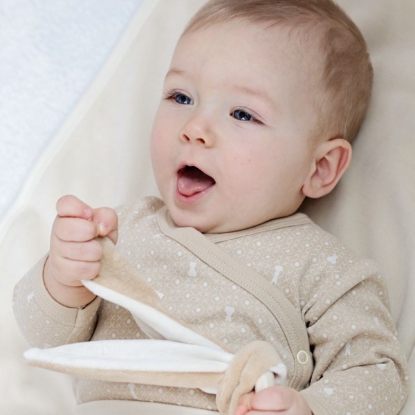 Oreilles de lapin et anneau de dentition