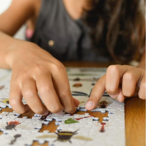 PUZZLE ÉDUCATIF 500 PIÈCES - INSECTES