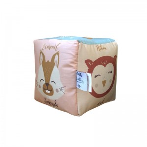 Cube d'éveil Animaux de la...