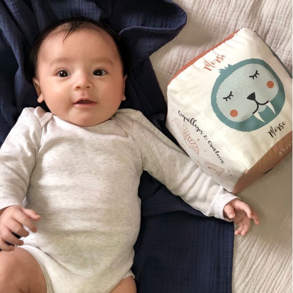 Cube d'éveil Animaux de la mer