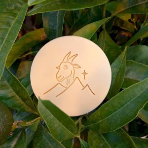SAVON ARTISANAL AU LAIT DE CHEVRE SENTEUR FLEUR D ORANGER - SECRETS D ALPAGE