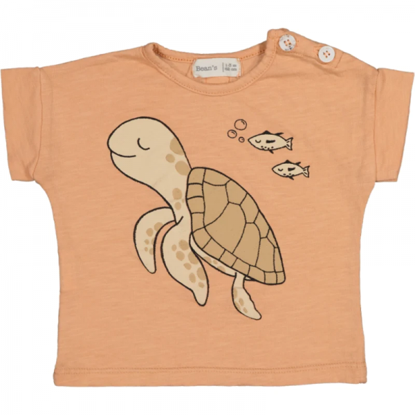 T SHIRT MANCHES COURTES ABRICOT...