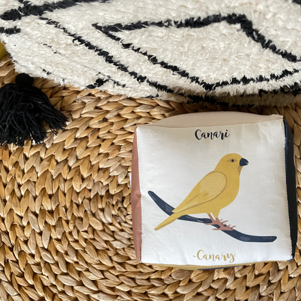 CUBE D'EVEIL ANIMAUX DE COMPAGNIE-...