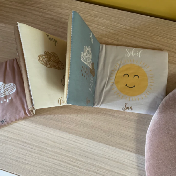 LIVRE D'EVEIL METEO - CAROTTE ET CIE