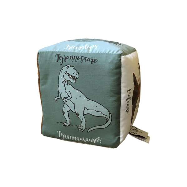 CUBE D'EVEIL DINOSAURES - CAROTTE ET CIE