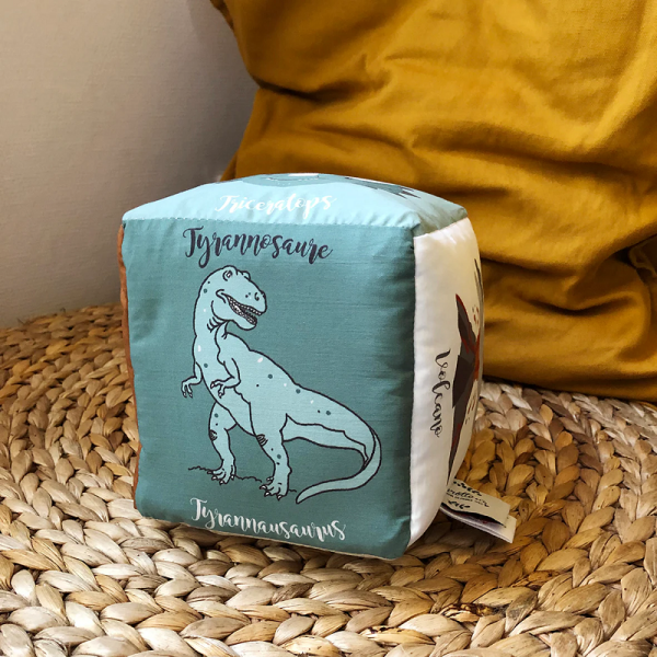 CUBE D'EVEIL DINOSAURES - CAROTTE ET CIE