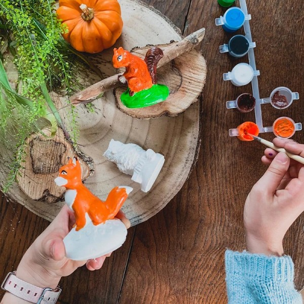 BALADE EN FORET COFFRET 3 MOULES -...