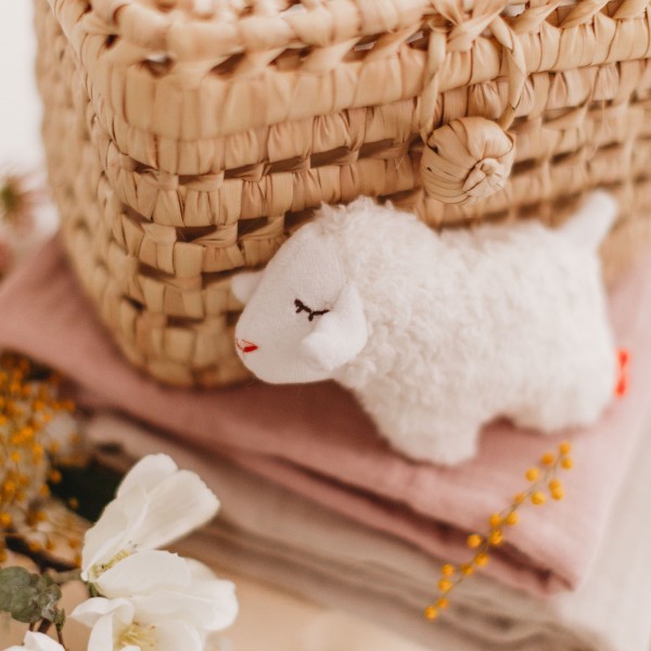 HOCHET MOUTON EN COTON BIOLOGIQUE -...