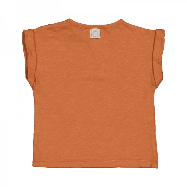 T SHIRT MANCHES COURTES BRIQUE FRUIT...