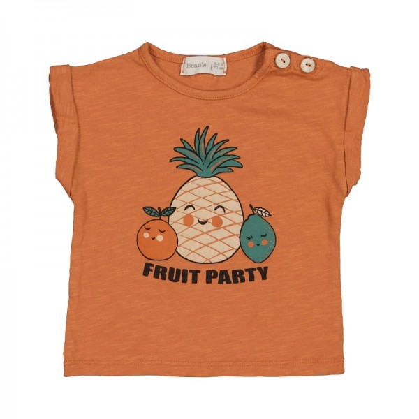 T SHIRT MANCHES COURTES BRIQUE FRUIT...