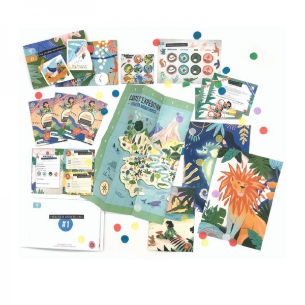 LA CHASSE AU TRESOR L ILE TROPICALE -...