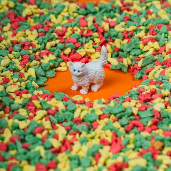 BOUTEILLE SENSORIELLE SPY ANIMAUX DE...