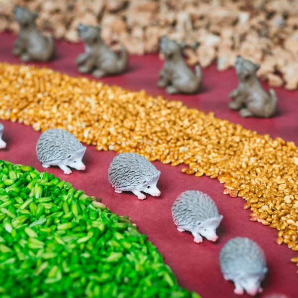 BOUTEILLE SENSORIELLE SPY FORET -...