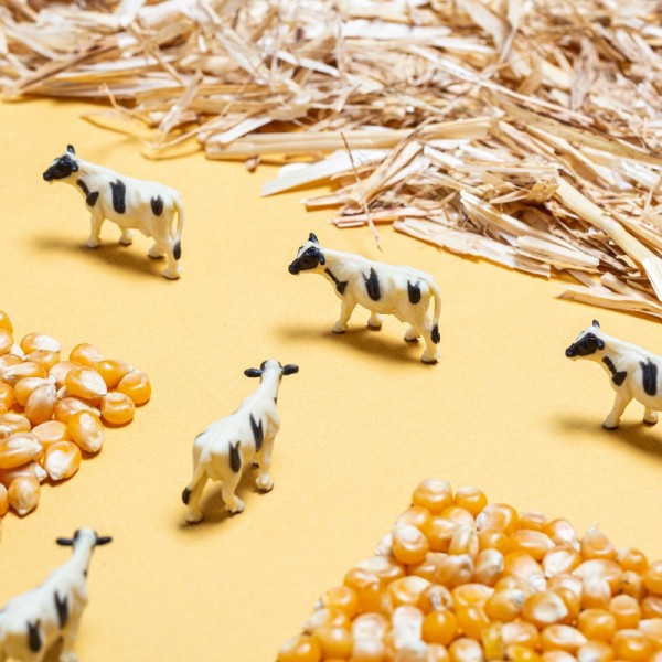 BOUTEILLE SENSORIELLE SPY FERME -...