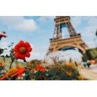 Sélection Made in France